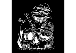 Harbor Country Mushrooms Logo